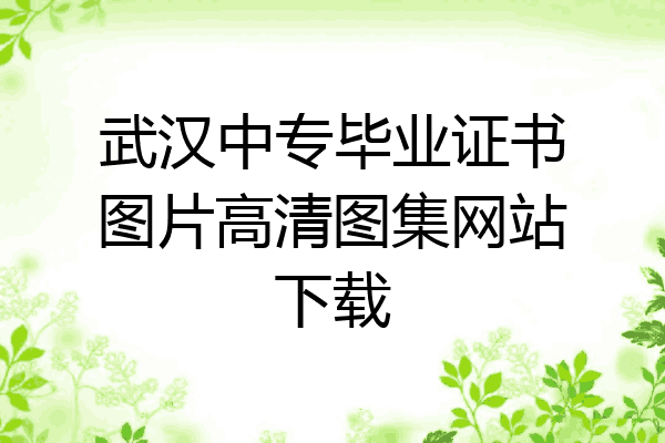 武汉中专毕业证书图片高清图集网站下载
