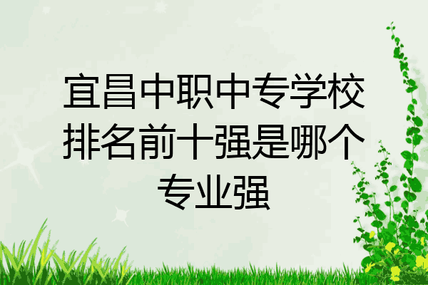宜昌中职中专学校排名前十强是哪个专业强