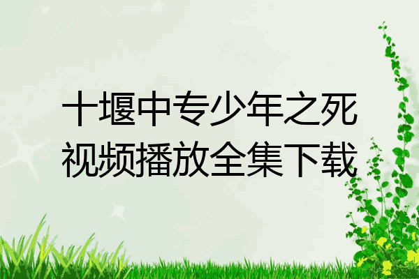 十堰中专少年之死视频播放全集下载