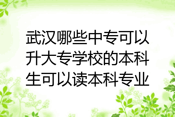 武汉哪些中专可以升大专学校的本科生可以读本科专业