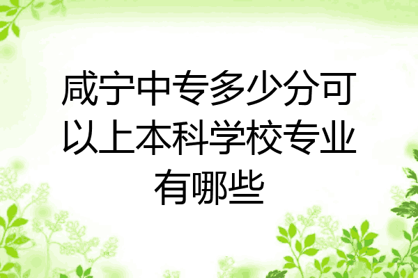 咸宁中专多少分可以上本科学校专业有哪些
