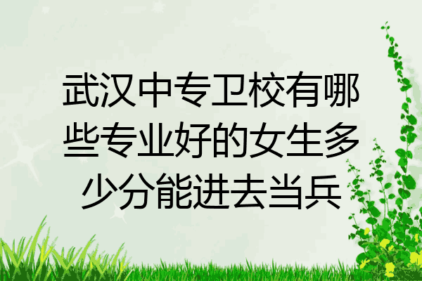 武汉中专卫校有哪些专业好的女生多少分能进去当兵