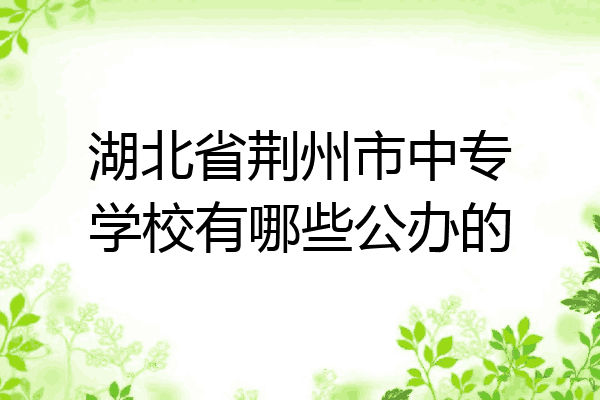 湖北省荆州市中专学校有哪些公办的