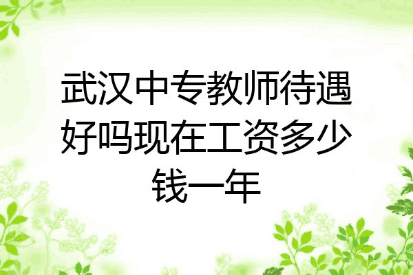 武汉中专教师待遇好吗现在工资多少钱一年