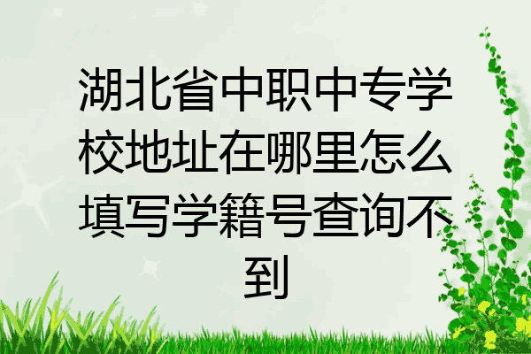 湖北省中职中专学校地址在哪里怎么填写学籍号查询不到