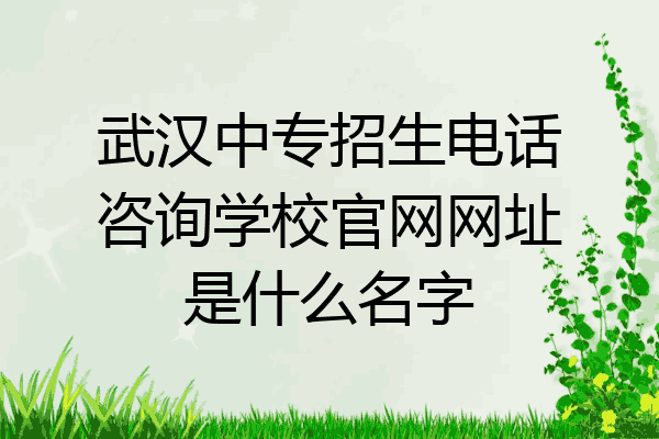 武汉中专招生电话咨询学校官网网址是什么名字