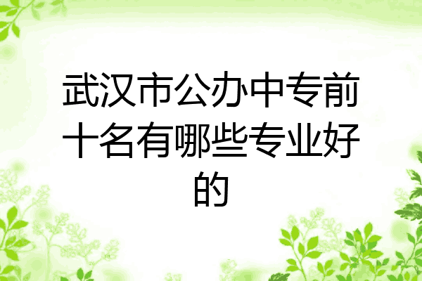 武汉市公办中专前十名有哪些专业好的