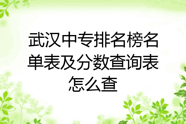 武汉中专排名榜名单表及分数查询表怎么查