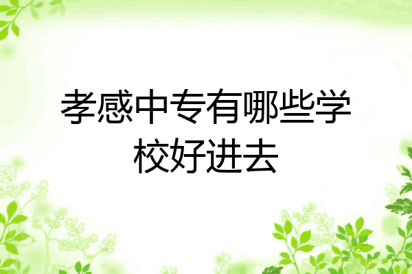 孝感中专有哪些学校好进去