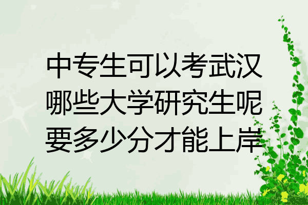 中专生可以考武汉哪些大学研究生呢要多少分才能上岸