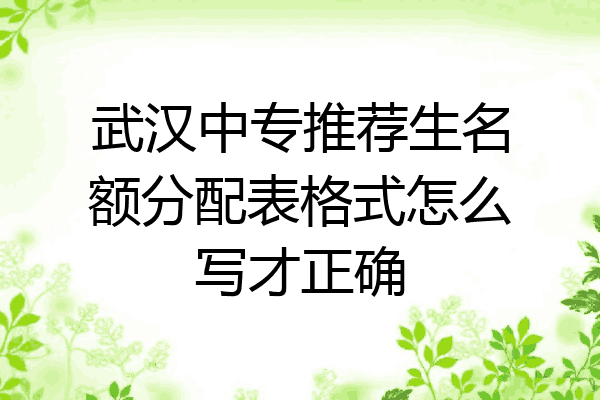 武汉中专推荐生名额分配表格式怎么写才正确
