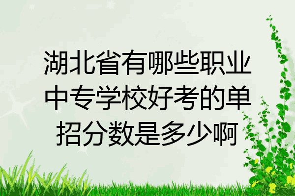 湖北省有哪些职业中专学校好考的单招分数是多少啊