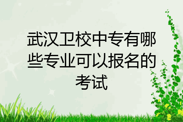 武汉卫校中专有哪些专业可以报名的考试