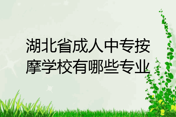 湖北省成人中专按摩学校有哪些专业