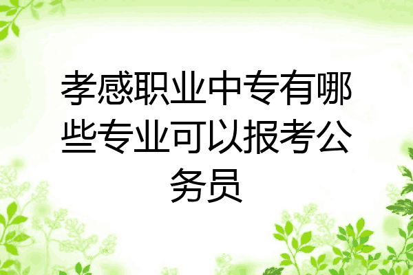孝感职业中专有哪些专业可以报考公务员