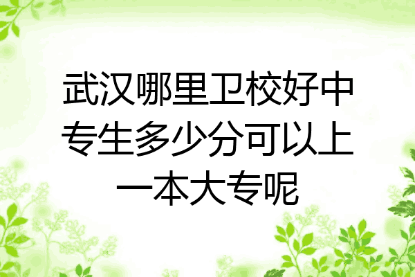 武汉哪里卫校好中专生多少分可以上一本大专呢