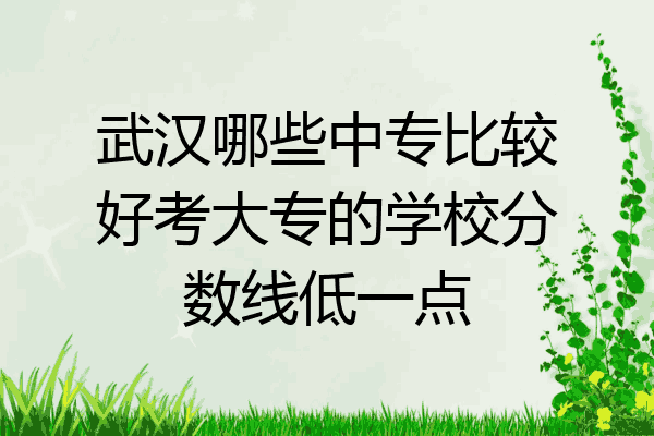 武汉哪些中专比较好考大专的学校分数线低一点
