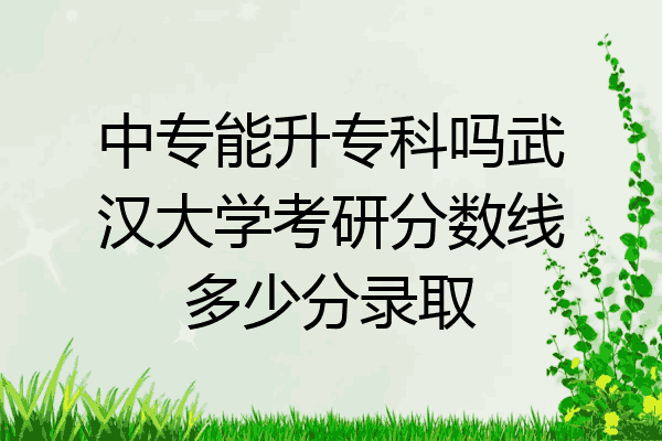 中专能升专科吗武汉大学考研分数线多少分录取