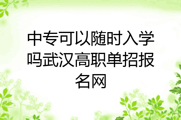 中专可以随时入学吗武汉高职单招报名网