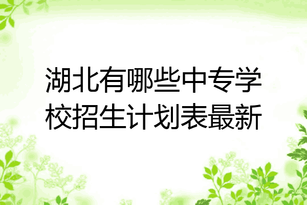 湖北有哪些中专学校招生计划表最新
