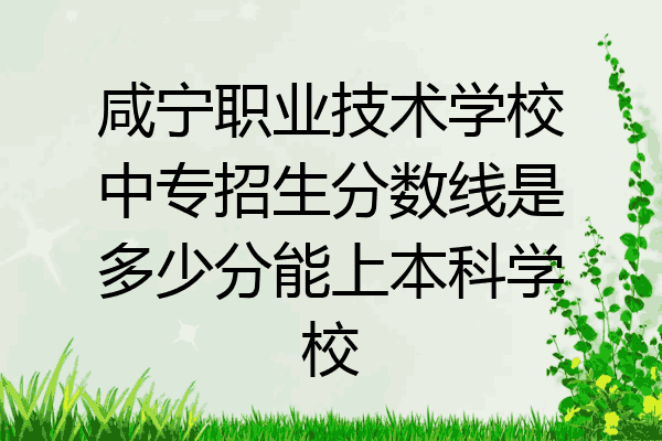 咸宁职业技术学校中专招生分数线是多少分能上本科学校