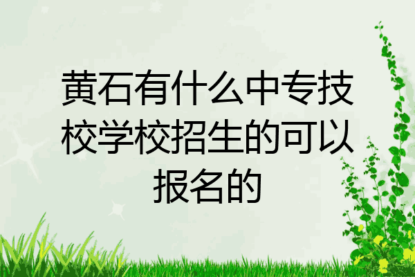 黄石有什么中专技校学校招生的可以报名的