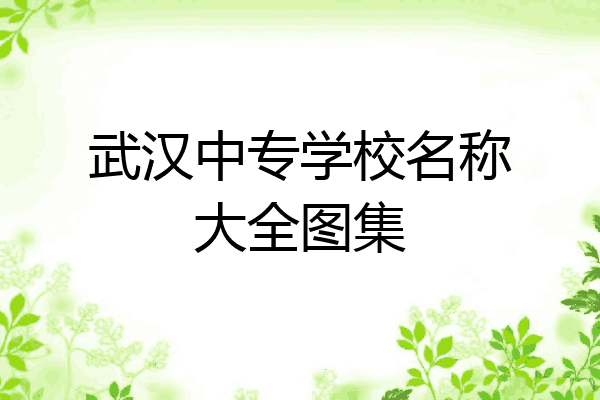 武汉中专学校名称大全图集