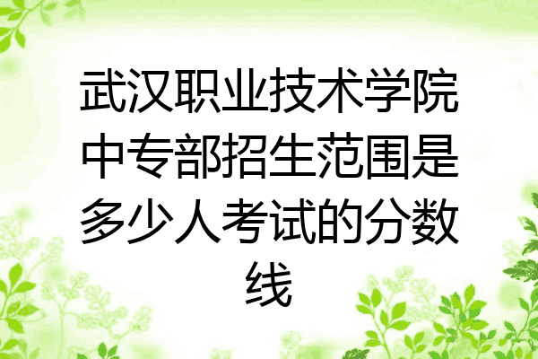 武汉职业技术学院中专部招生范围是多少人考试的分数线