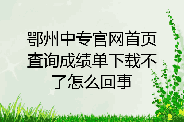 鄂州中专官网首页查询成绩单下载不了怎么回事