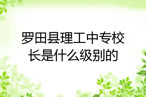 罗田县理工中专校长是什么级别的