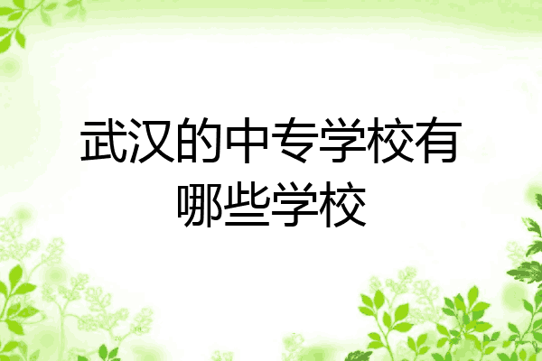 武汉的中专学校有哪些学校