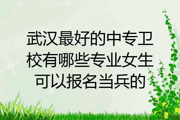 武汉最好的中专卫校有哪些专业女生可以报名当兵的