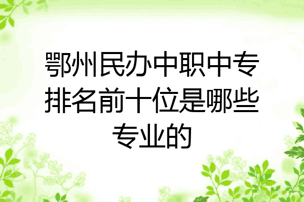 鄂州民办中职中专排名前十位是哪些专业的