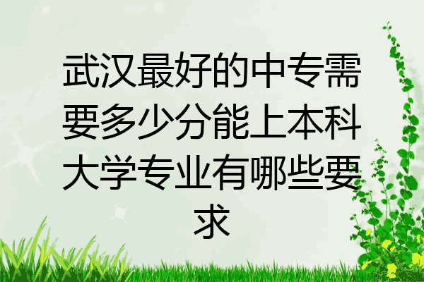 武汉最好的中专需要多少分能上本科大学专业有哪些要求