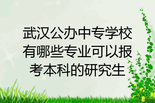 武汉公办中专学校有哪些专业可以报考本科的研究生