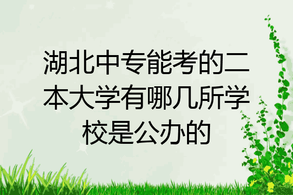 湖北中专能考的二本大学有哪几所学校是公办的