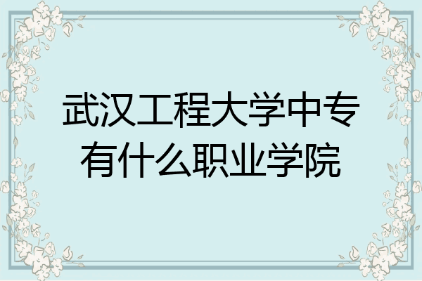 武汉工程大学中专有什么职业学院