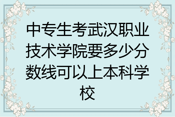 中专生考武汉职业技术学院要多少分数线可以上本科学校