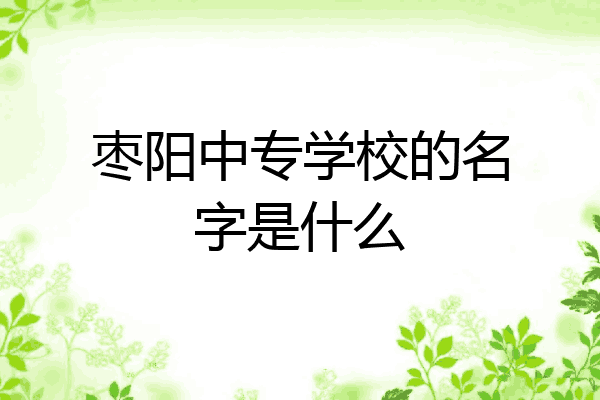 枣阳中专学校的名字是什么