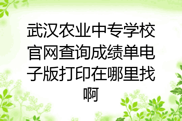 武汉农业中专学校官网查询成绩单电子版打印在哪里找啊