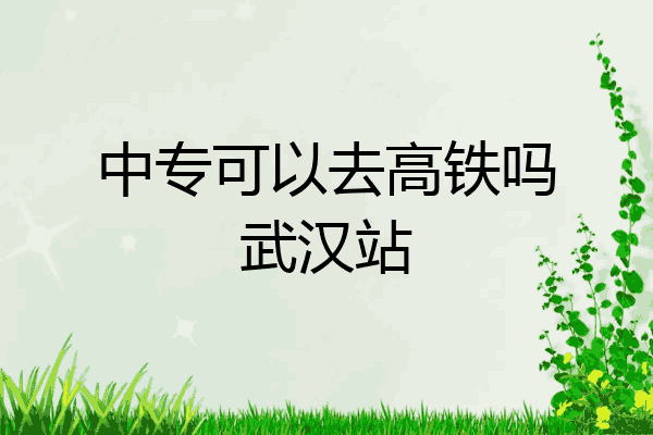 中专可以去高铁吗武汉站