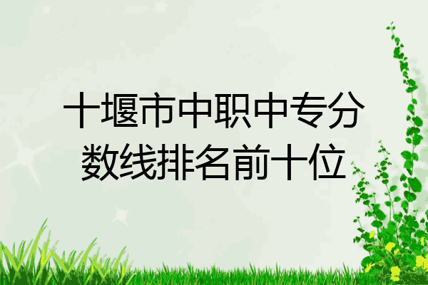 十堰市中职中专分数线排名前十位