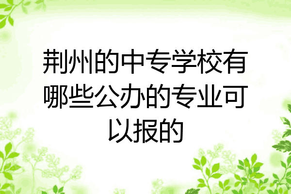 荆州的中专学校有哪些公办的专业可以报的