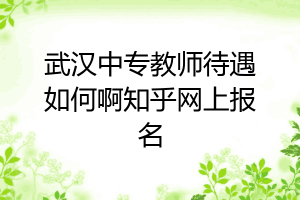 武汉中专教师待遇如何啊知乎网上报名