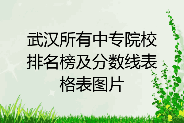 武汉所有中专院校排名榜及分数线表格表图片