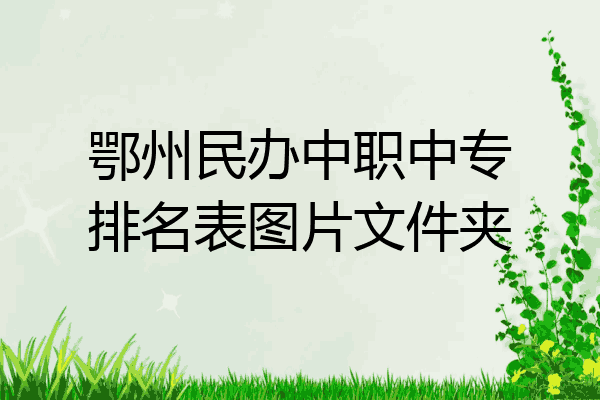 鄂州民办中职中专排名表图片文件夹