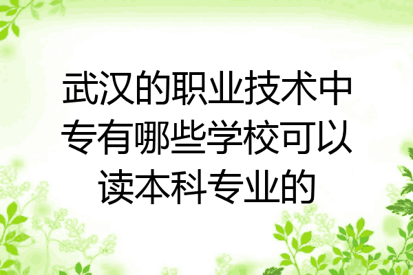 武汉的职业技术中专有哪些学校可以读本科专业的