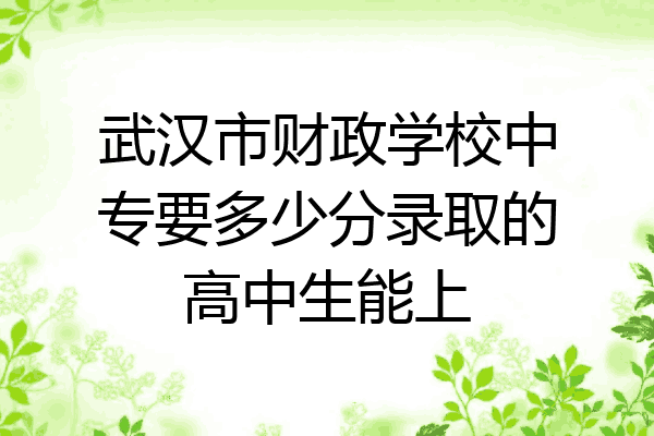 武汉市财政学校中专要多少分录取的高中生能上