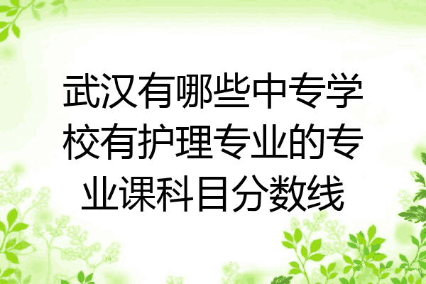 武汉有哪些中专学校有护理专业的专业课科目分数线