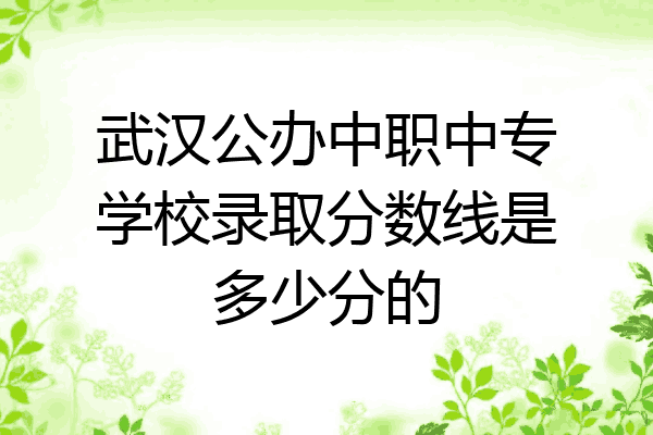 武汉公办中职中专学校录取分数线是多少分的